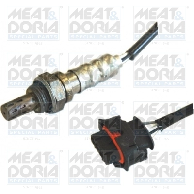 Oxygen Sensor